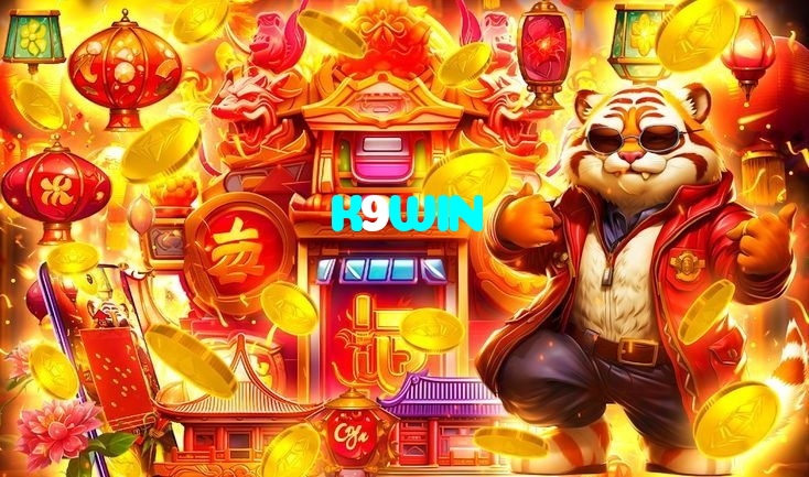 available types of K9WIN bet including pre-match live express and system bets