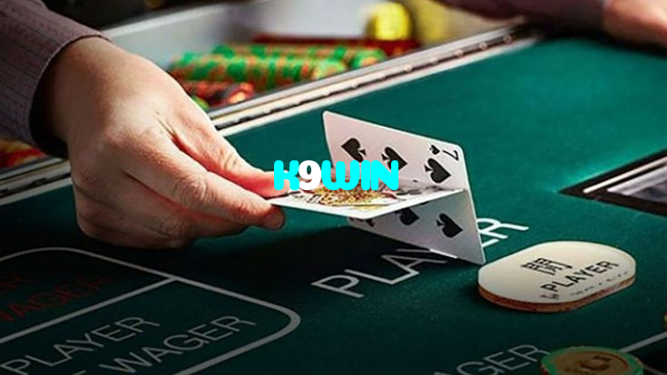 پشاور میں سلاٹ لو بیٹ اسپیڈ میں بیٹنگ اور بہترین اسپن اوڈز