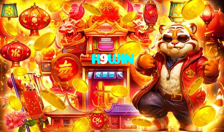 available types of K9WIN bet including pre-match live express and system bets