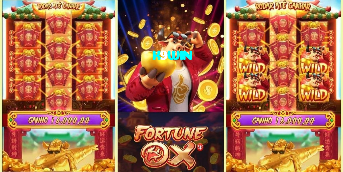 K9WIN